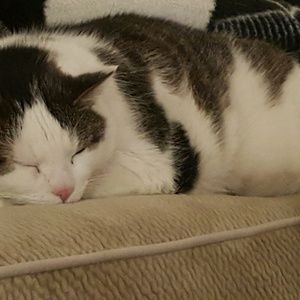 Meet your Posher, Beth